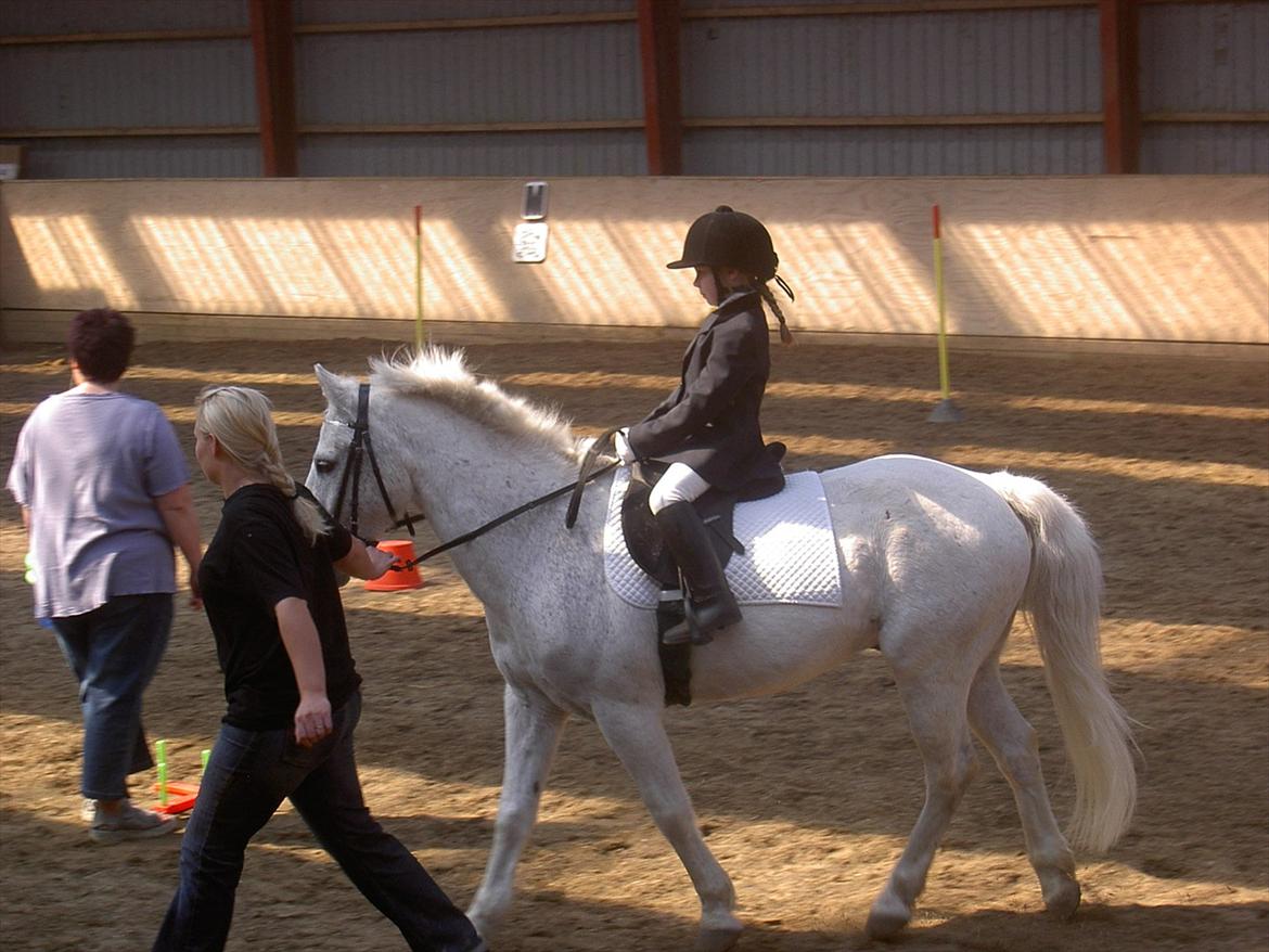 Anden særlig race † Fillur † *Alting* <3 - Du var den helt perfekte pony for mig,. Se en stolt rytter:D I loooove you fille. Ponygames tid: 1:06 min og en første plads.<3<3!!!!  billede 8