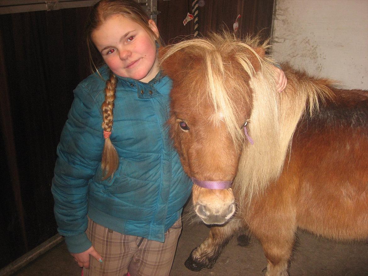 Miniature Serafina - mig og serafina billede 3