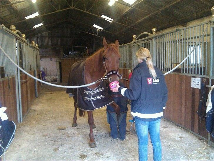 Traver Iowa Frontline - Tiltrængt smed billede 2