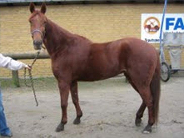 Traver Iowa Frontline - 2005 billede 5