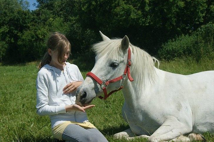 Anden særlig race Dunja - Dunja & Jeg på sommer folden 2011.

Fotograf: Kamilla:-) billede 1
