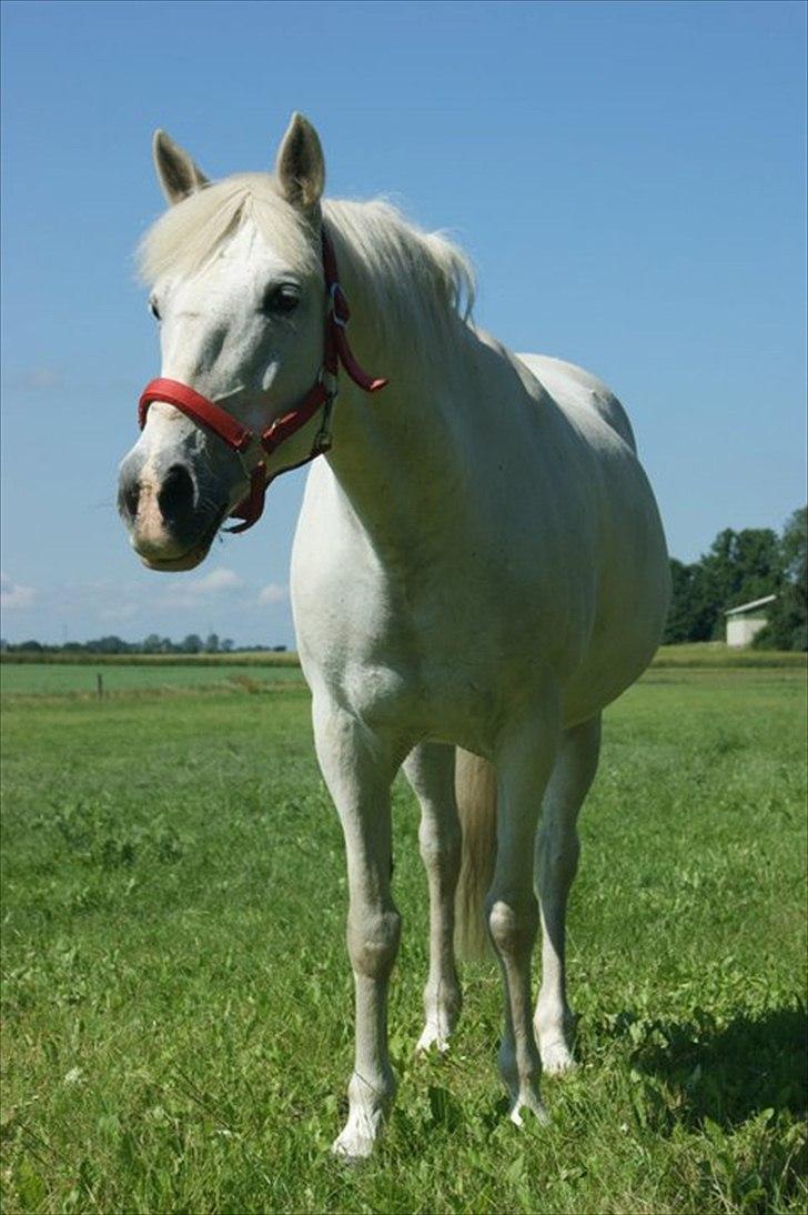 Anden særlig race Dunja - & ogs lidt der:D

Fotograf: Kamilla:D billede 8