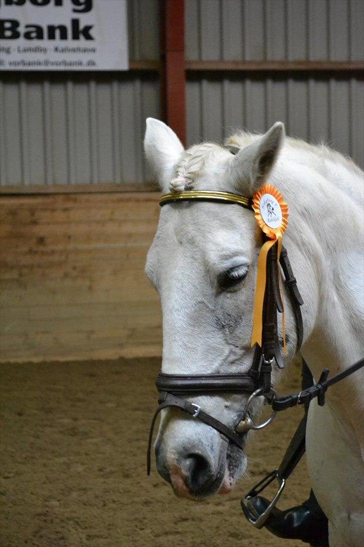 Anden særlig race Dunja - & der har vi lige fået den:-)

Fotograf: Camilla.J:D billede 12