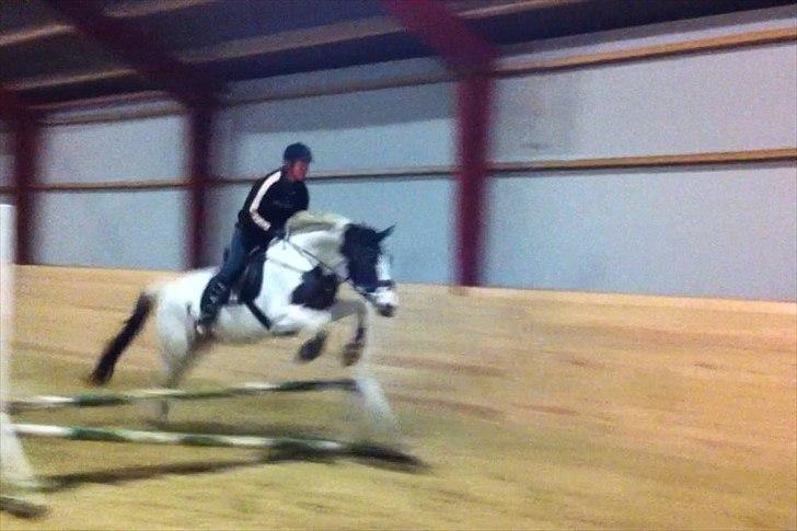 Pinto Aslak India - Første springridning på Lakken :) billede 4