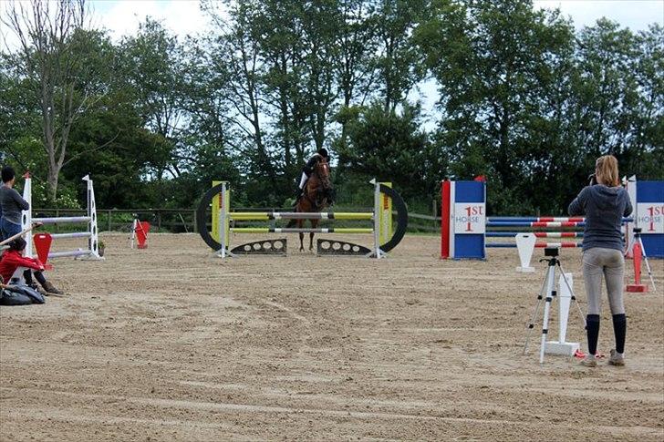 Dansk Varmblod Calahan - Distriktstævne i Ulsted. billede 16