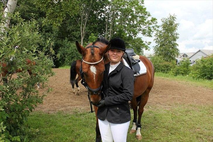 Dansk Varmblod Calahan billede 20