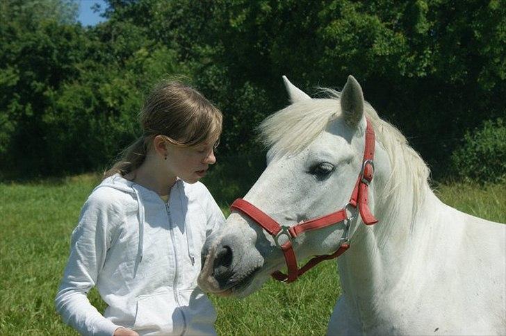Anden særlig race Dunja - Dunja & Jeg på sommer folden 2011:-)

Fotograf: Kamilla:-) billede 2