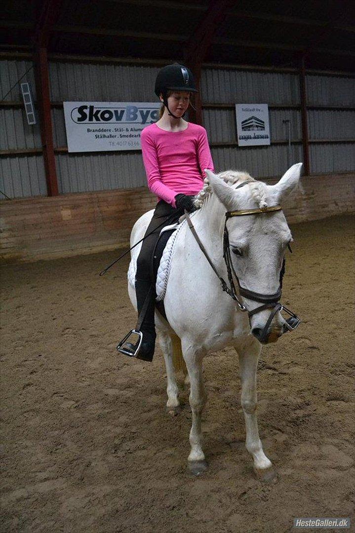 Anden særlig race Dunja - Til stævnet..^^
Jeg sidder lidt sjovt med mine ben!:-)

Fotograf: Camilla.J..^^ billede 15