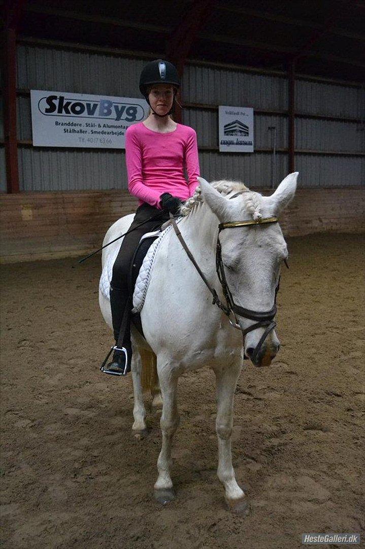 Anden særlig race Dunja - Til stævnet;-)
& det sidder jeg også lidt sjovt med mine ben!;-)

Fotograf: Camilla.J;-) billede 16