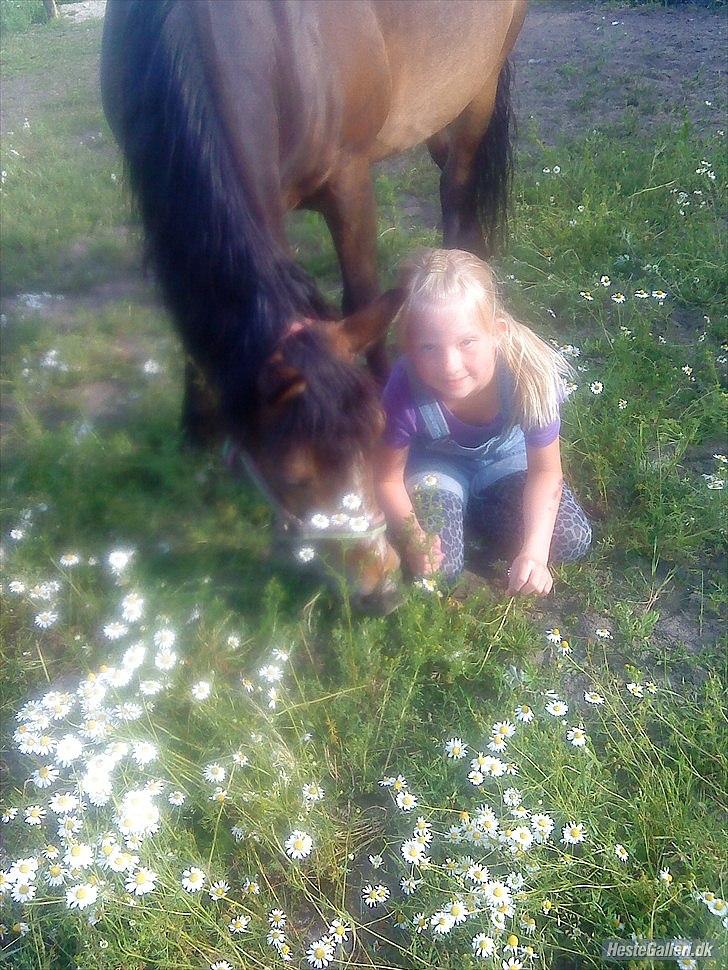 Anden særlig race Bonnie billede 12