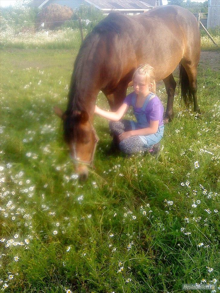 Anden særlig race Bonnie billede 13