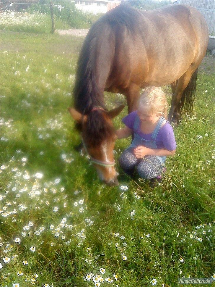 Anden særlig race Bonnie billede 15