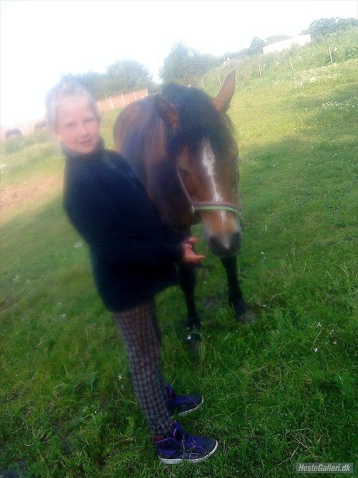 Anden særlig race Bonnie billede 17