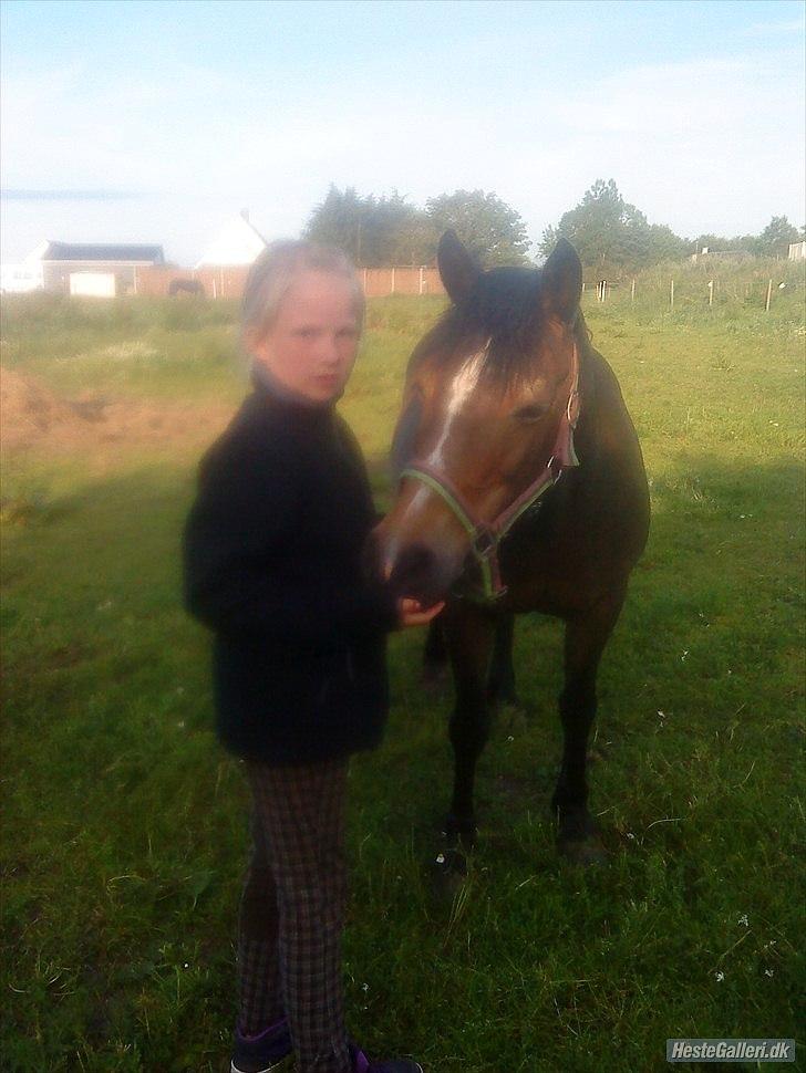 Anden særlig race Bonnie billede 20