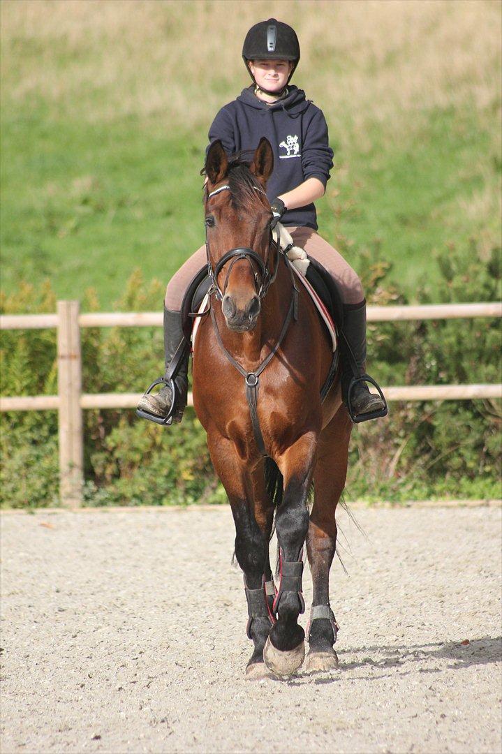 Anden særlig race Skærbækgårds Diego - En af de første gange jeg rider ham Foto : Julie billede 5