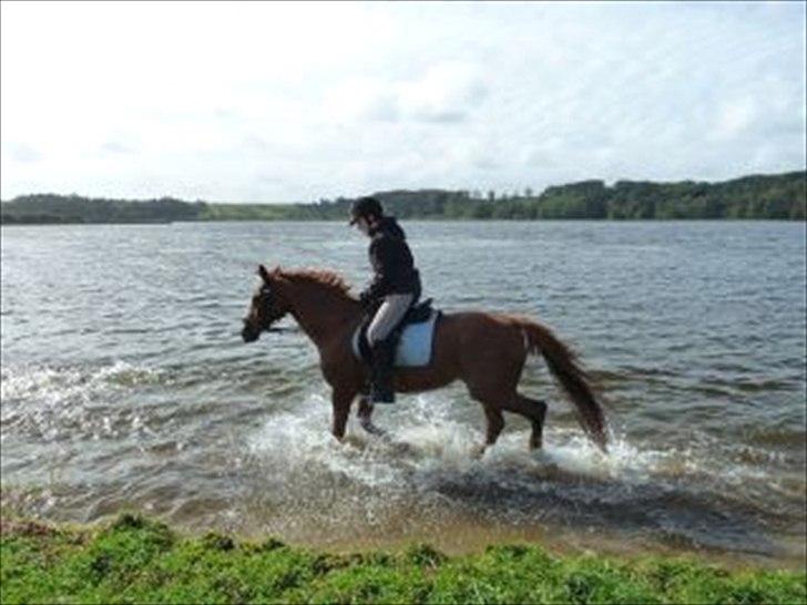 DSP Lucky Girl ~ I Miss You ~  - VORES FØRSTE TUR I VANDET<3 SÅ STOLT AF MIN PRINSESSE<3 billede 15