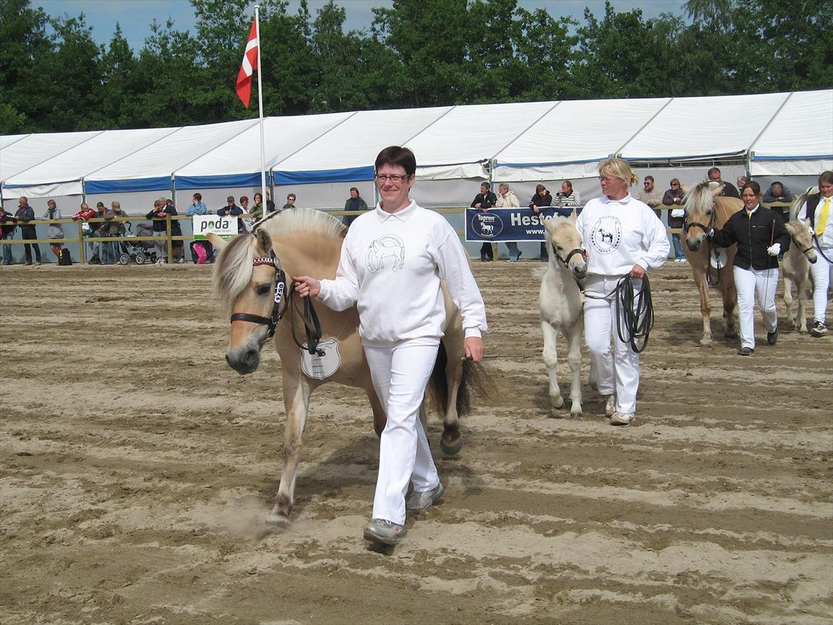 Fjordhest Rigmor Vårby - Heidi og Rigmor billede 9