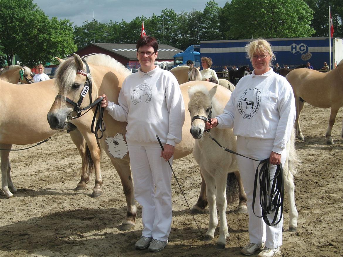 Fjordhest Rigmor Vårby - Rigmor, Heidi, Rocco og Helene billede 10