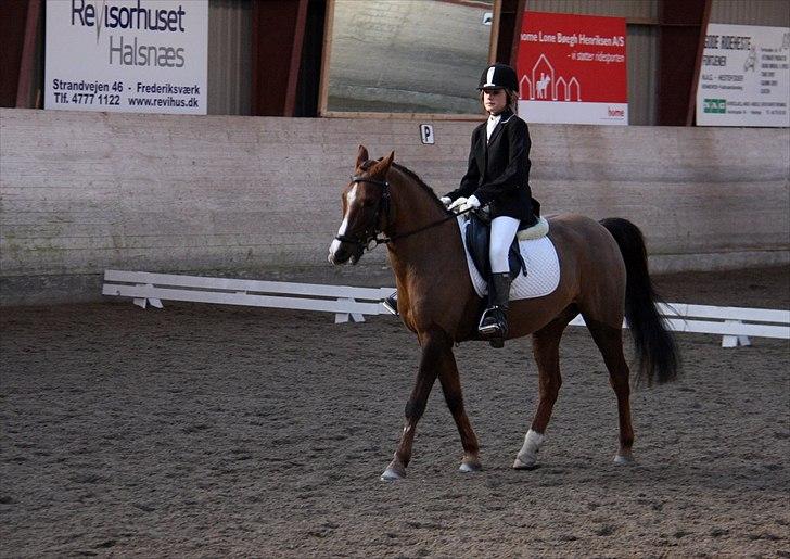 Anden særlig race Agazi <3 - Mig og Agazi til det første stævne :-)  billede 4