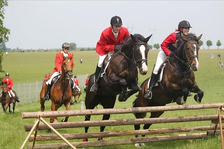 Anden særlig race Santina - Forårs jagten i Hindsgaul. Sammen med Gerard og Shakira. billede 13