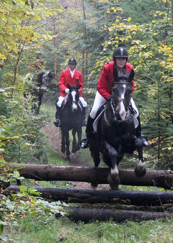 Anden særlig race Santina - Hubertus jagt 2011 billede 14