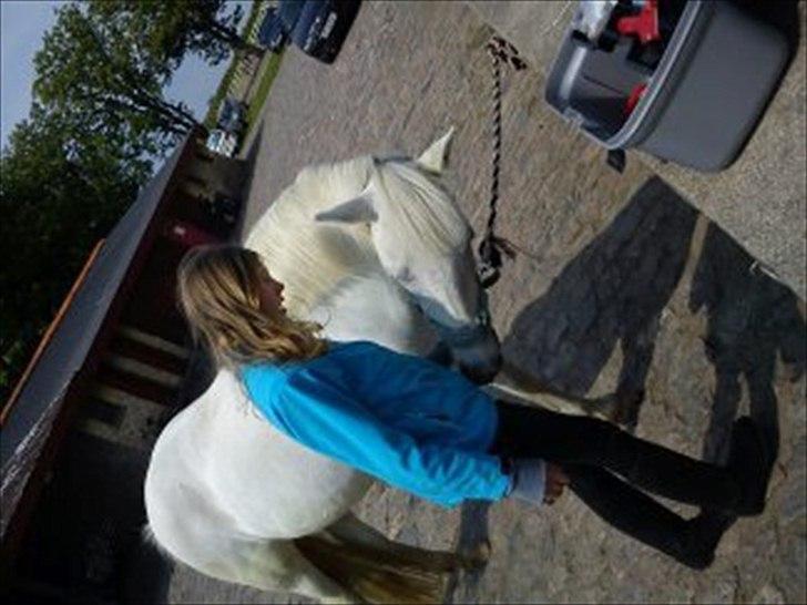 Anden særlig race Dunja - Vi står stadig udenfor:D
& der vil Dunja lige sige "Hej" til mig, & også snuse lidt:-)

Fotograf: Simone:D billede 19