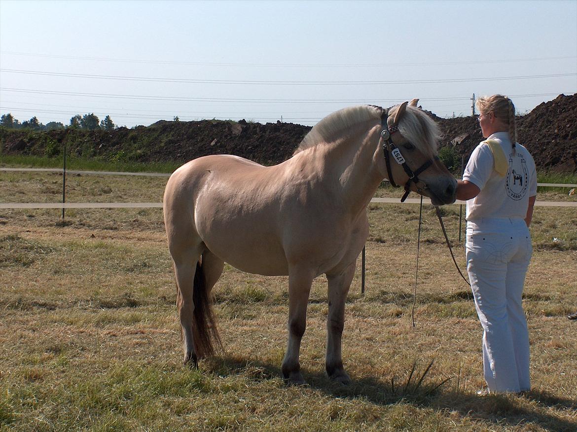 Fjordhest Rie Vårby - Rie bedømmes af dommerne billede 3