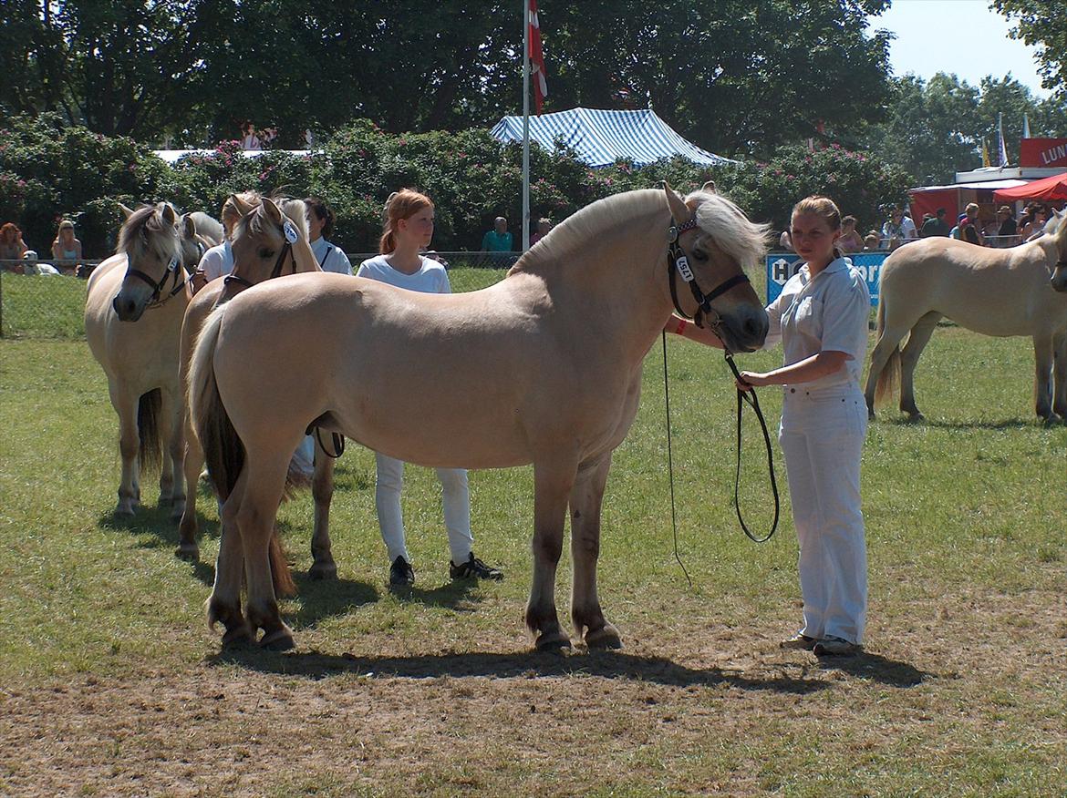 Fjordhest Rie Vårby - Rie med sin dygtige trækker Louise billede 5