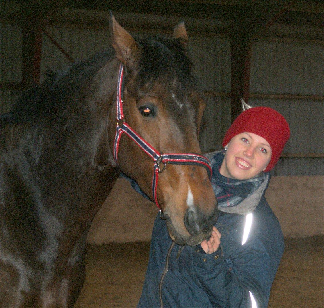 Hollandsk Varmblod B - Mig og en lidt bekymret B billede 16