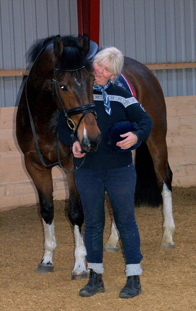 Hollandsk Varmblod B - B & Moaaaaaaaaaar billede 17