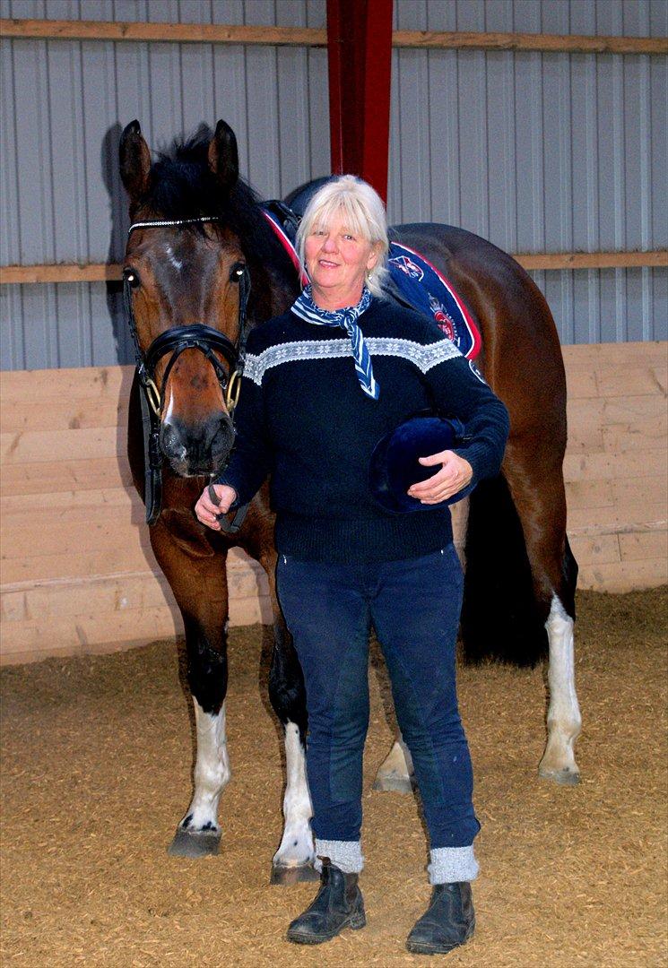 Hollandsk Varmblod B billede 20