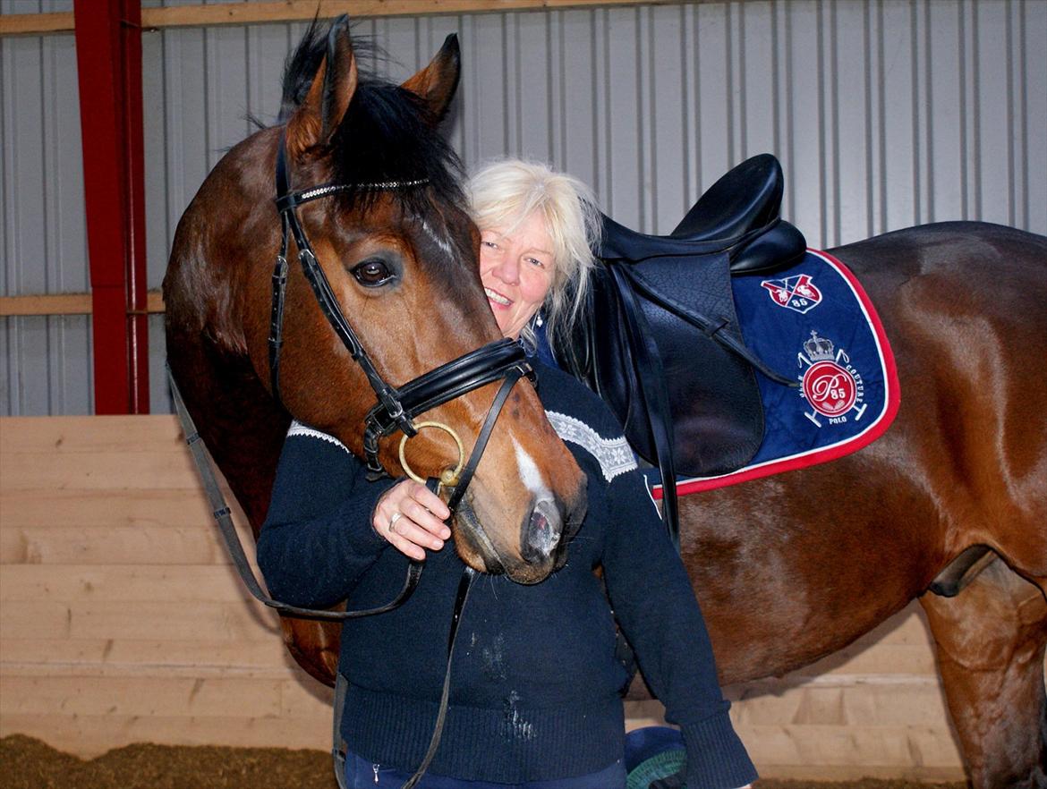 Hollandsk Varmblod B - Smukke B og søde Hanne'mor billede 10