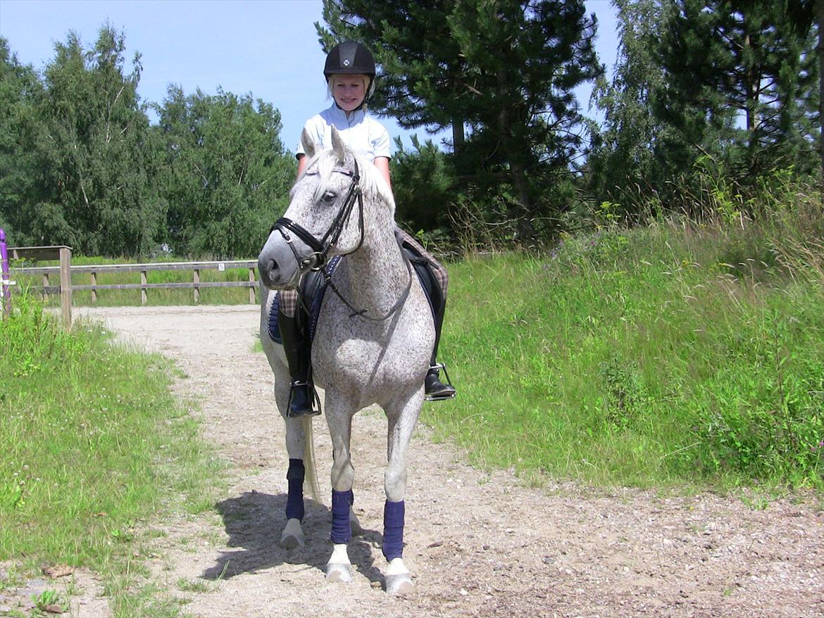 Anden særlig race Carlo - SOLGT - 7. Efter undervisning i sommers, savner den lille basse! <3  billede 7