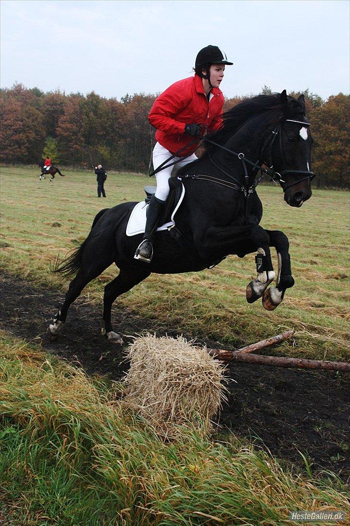 Dansk Varmblod Sazkibard S *My Soulmate* - Første jagt sammen :-)
Du var fantastisk ♥
d. 30.11.11 
Foto: KT foto  billede 15