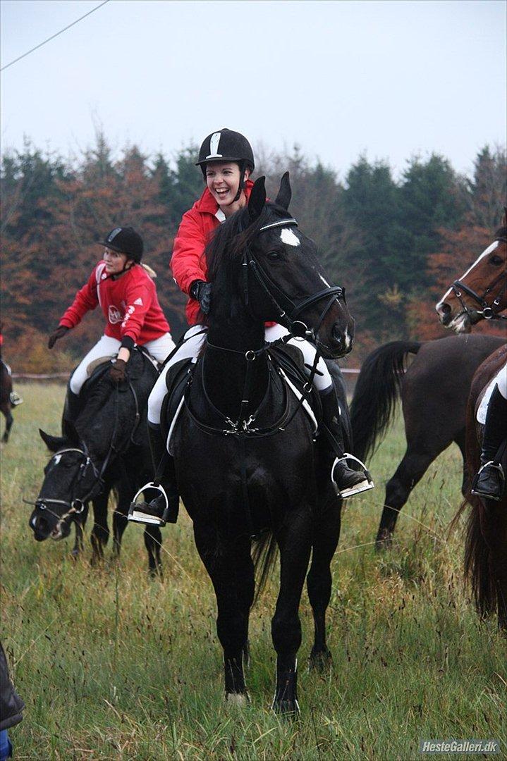 Dansk Varmblod Sazkibard S *My Soulmate* - Billeder viser tit hvilken betydning folk har, men dette billede betyder mere end noget andet for mig! 
Dette billede viser det gode forhold/venskab mellem hest og rytter!  <3

Foto: KT foto  billede 1