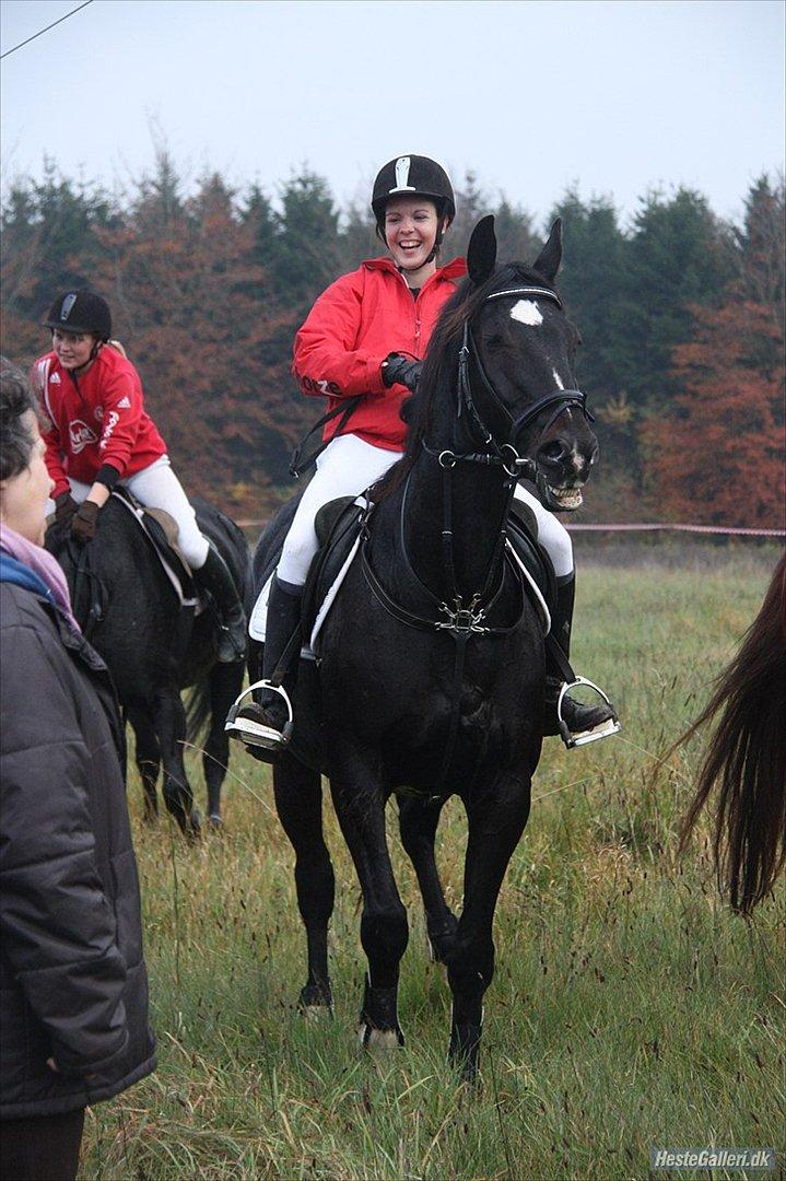 Dansk Varmblod Sazkibard S *My Soulmate* - When I smile, you smile! ♥

Foto: KT foto  billede 18