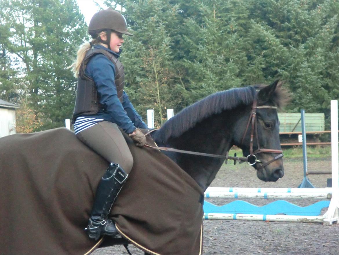 Anden særlig race Birkholms Lars (*GASTON*) billede 3