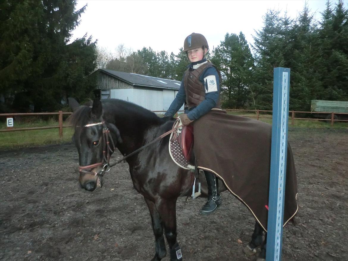 Anden særlig race Birkholms Lars (*GASTON*) billede 4