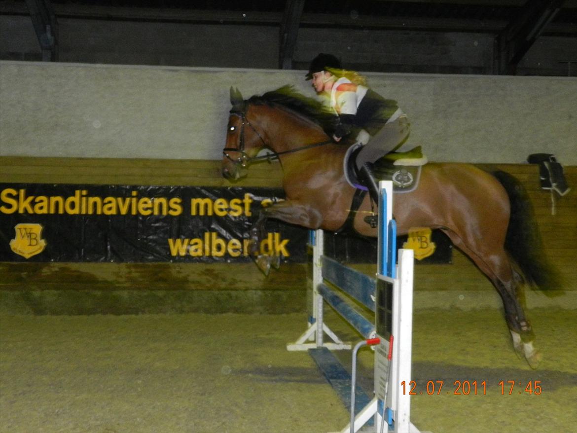 Zangersheide Elco Du Buisson Z - Træning d. 8/12
Fredericia Rideklub
Foto: Kathrine Burmeister  billede 13