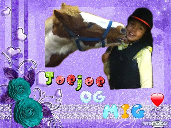 Pinto Joe Joe - katja har lavet det!!=) billede 13