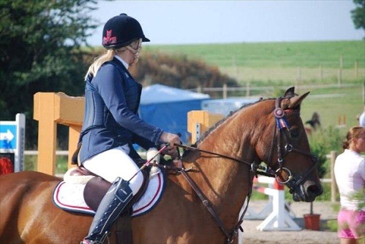 Belgisk Sportspony Cawello *SOLGT* - Elmer og jeg på KAR <3 billede 10