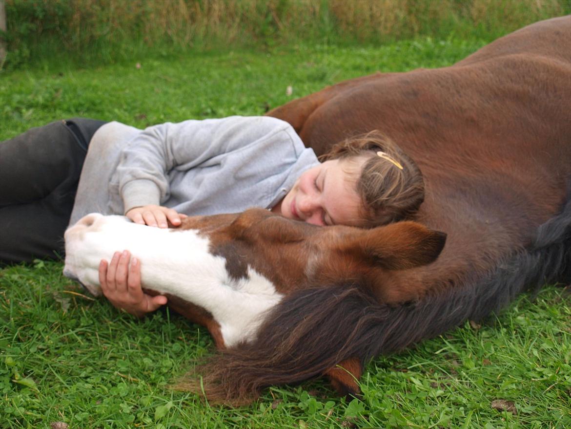 DSP Bibsen (Passer) - så nuttet <3
 billede 10