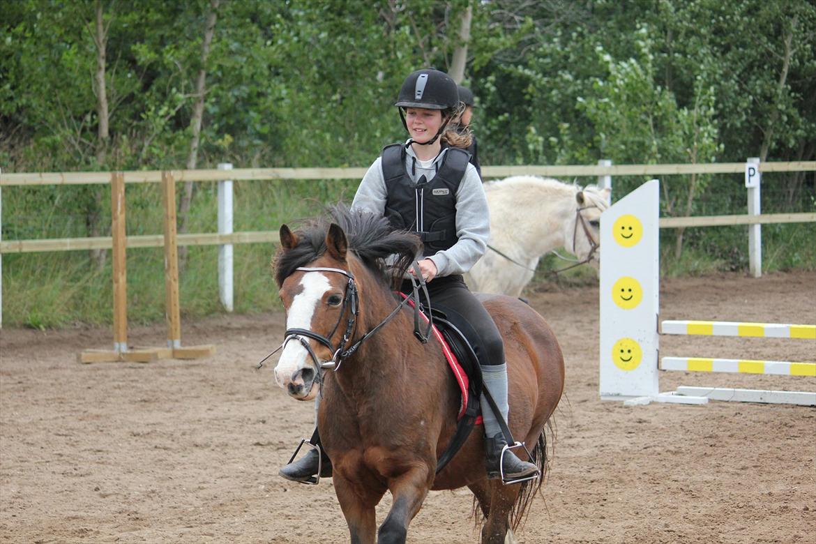 DSP Bibsen (Passer) - Du er bare den sødeste at springe på! <3 billede 18