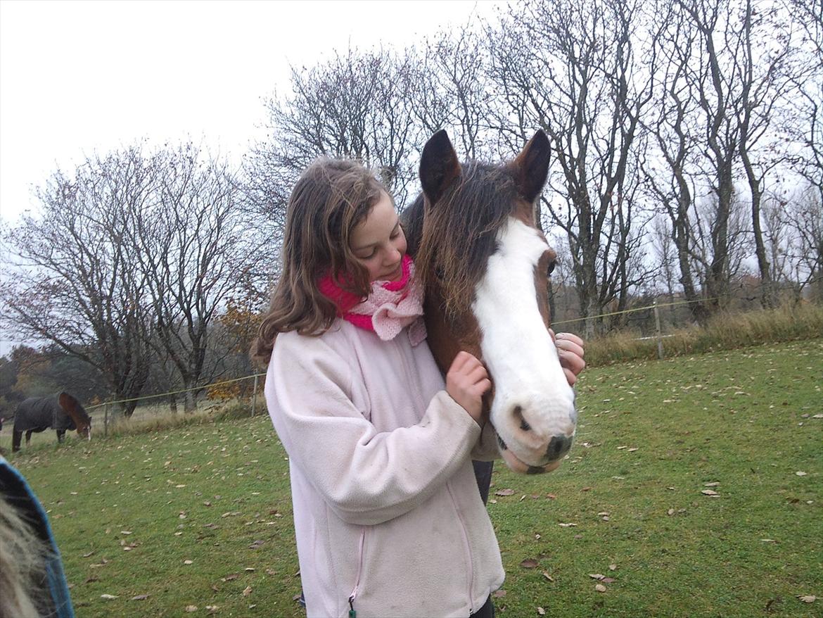 DSP Bibsen (Passer) - Dig og mig for altid <3 billede 19