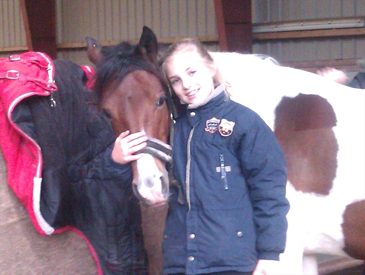 Anden særlig race Pretty<'3 - SOLGT billede 3