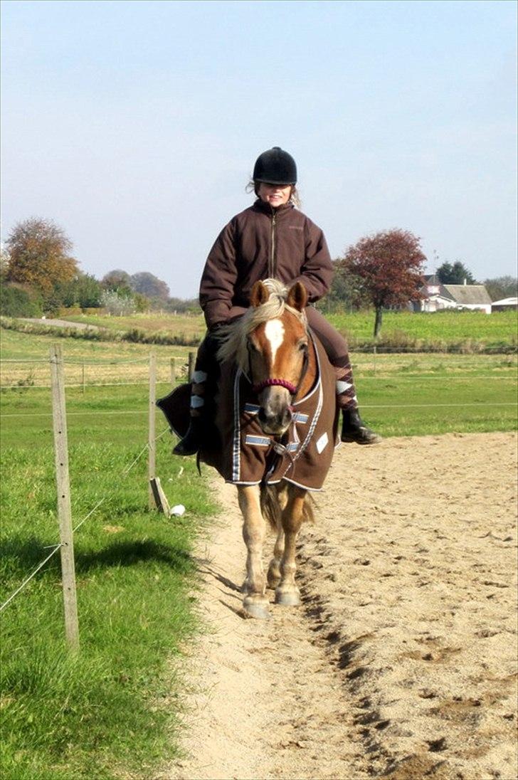 Haflinger Nuka - fie rider uden saddel i rebgrime ! 
uff hun var stolt ! :* <3 billede 17