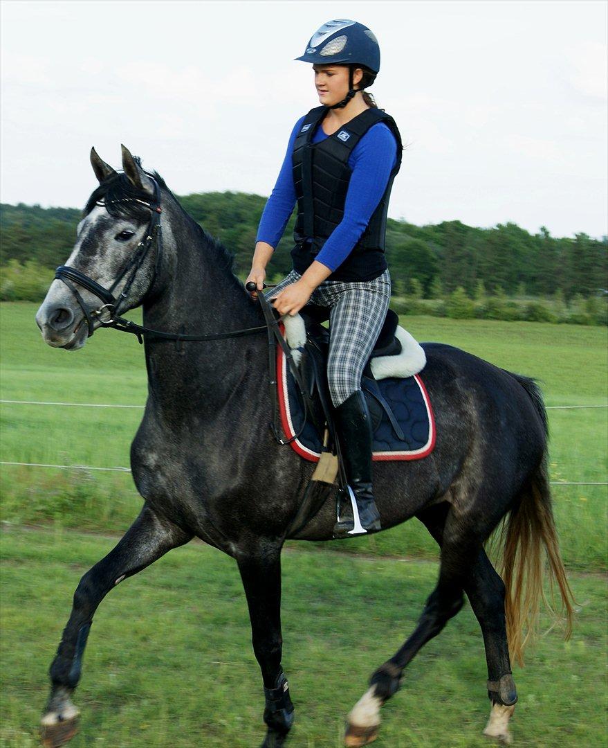 Dansk Varmblod Amona - Amona og Kamilla springer hjemme!!<3 billede 6