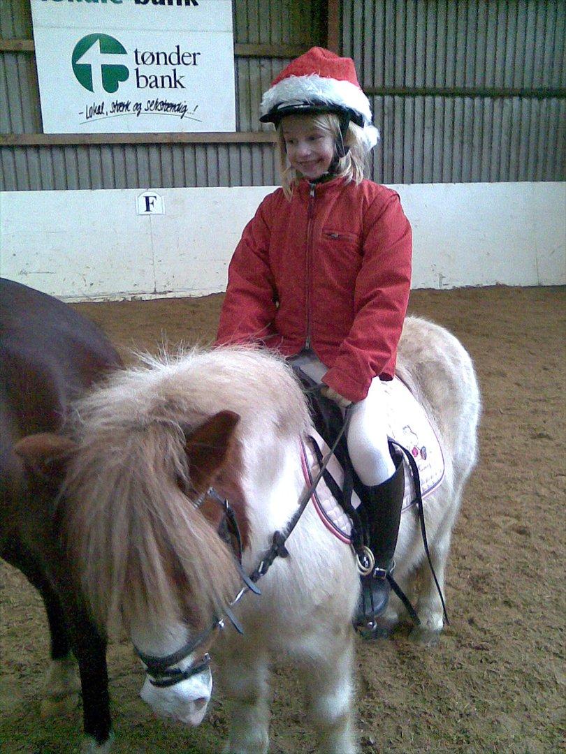 Anden særlig race Kvik  - Ringridning jul på Kærgård Rideklub. billede 20