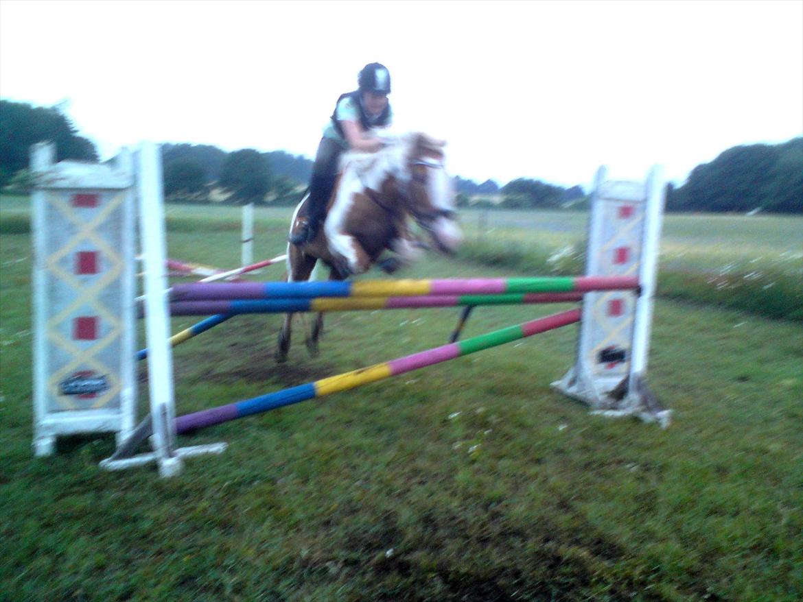 Anden særlig race :Tequila*SOLGT :'( - Tequila og jeg springer 105cm. D.8 Juli 2010<3 billede 18