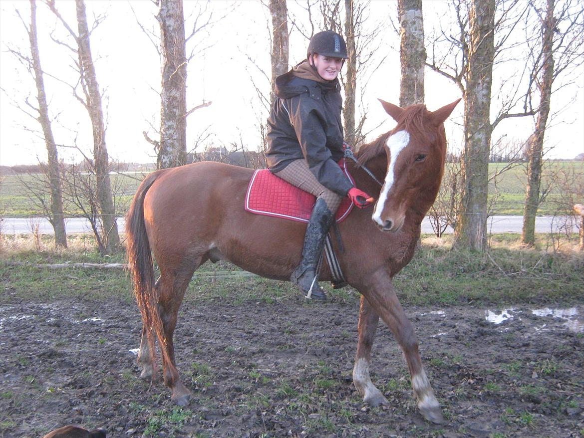 Frederiksborg Ferdinand - "Jeg kan da også give pote, hvis det er det" 
Cordeo træning 10/12-11 billede 7